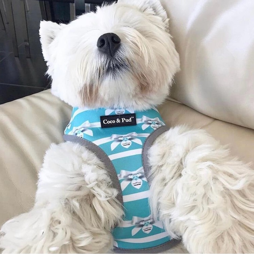 Coco & Pud Audrey Dog Harness, Reversible, Tiffany Blue & White, XS